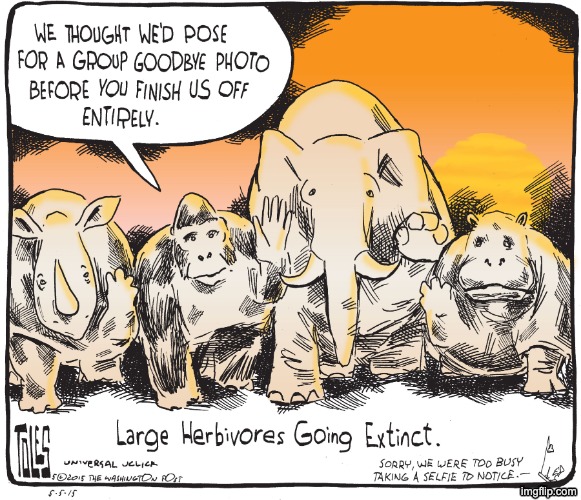 Maybe schedule that once-in-a-lifetime safari on the earlier side? | image tagged in extinction,animals,environment,destruction | made w/ Imgflip meme maker