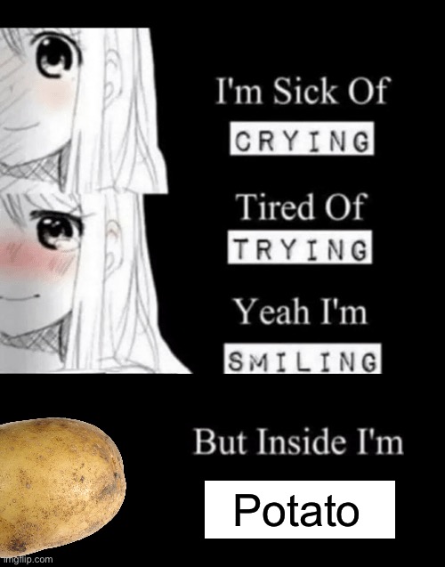 Actually so inspiring | Potato | image tagged in i'm sick of crying | made w/ Imgflip meme maker