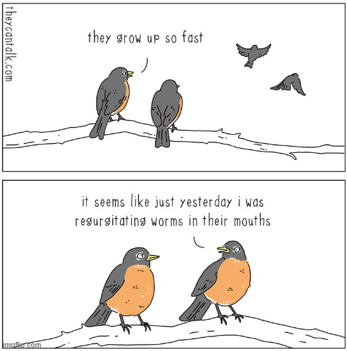 Memories... | image tagged in comics,theycantalk,birds,memories,regurgitating | made w/ Imgflip meme maker