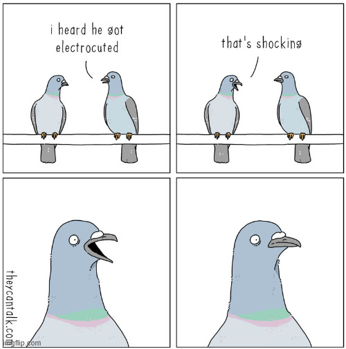 This is like making a 9/11 joke on 9/11 | image tagged in comics,theycantalk,pigeon,shocking,electrocuted | made w/ Imgflip meme maker