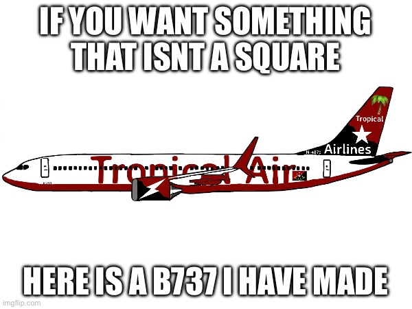 If you want something that isnt a square Here is a B737 I have made | made w/ Imgflip meme maker