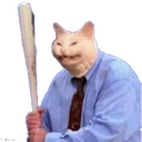 image tagged in baseball cat | made w/ Imgflip meme maker