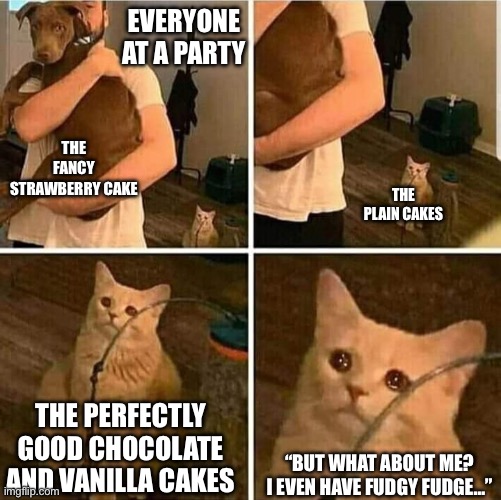Sad Cat Holding Dog | Everyone at a party; The fancy strawberry cake; The plain cakes; The perfectly good chocolate and vanilla cakes; “But what about me? I even have fudgy fudge…” | image tagged in sad cat holding dog | made w/ Imgflip meme maker
