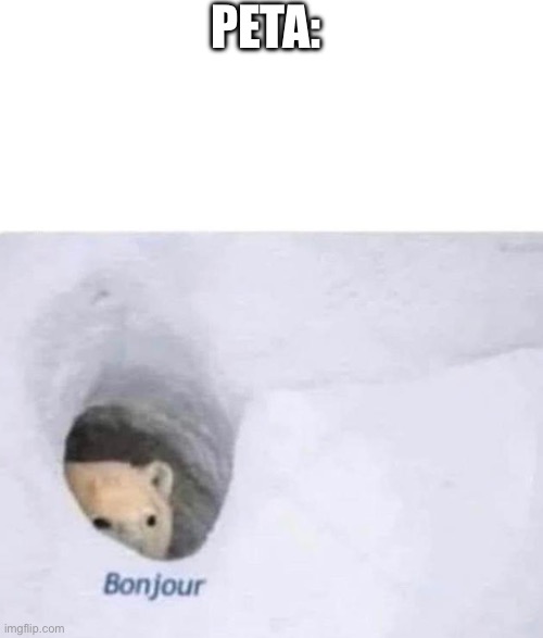 Bonjour | PETA: | image tagged in bonjour | made w/ Imgflip meme maker