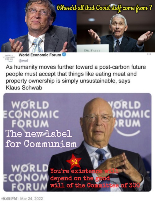 There are still morons that don't get it | Where'd all that Covid stuff come from ? The new label for Communism; You're existence will depend on the good will of the Committee of 300 | image tagged in bill gates,dr fauci,klaus schwab you won't eat meat | made w/ Imgflip meme maker