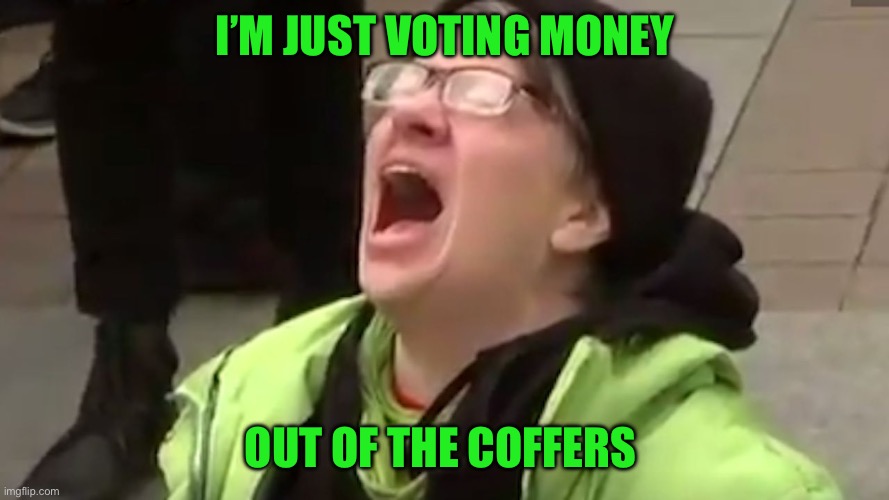 I’m just voting money Out of the coffers | image tagged in screaming liberal | made w/ Imgflip meme maker