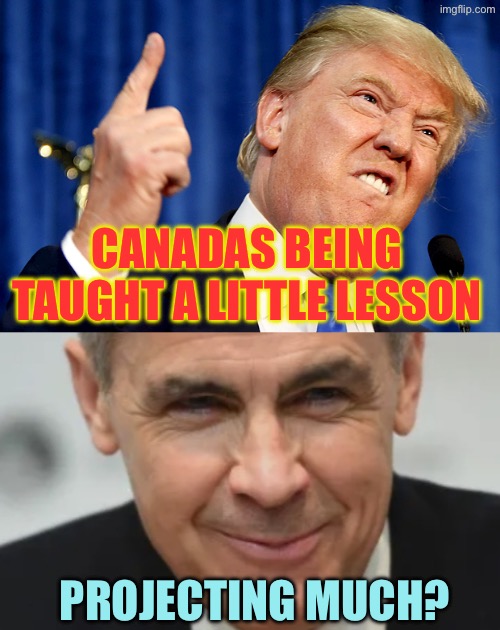 Trump is losing bigly | Canadas being taught a little lesson; Projecting much? | image tagged in donald trump,mark carney | made w/ Imgflip meme maker