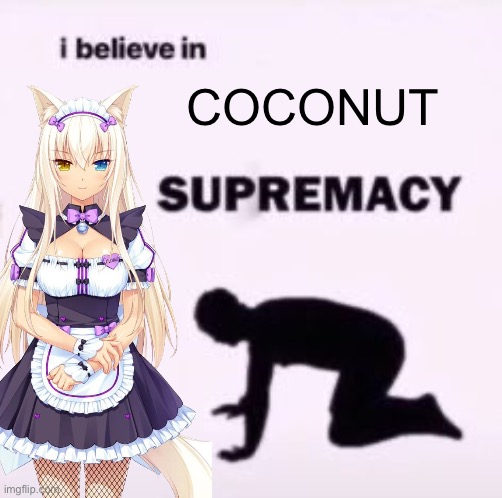 Coconut is SUPREME | Coconut | image tagged in i believe in supremacy | made w/ Imgflip meme maker