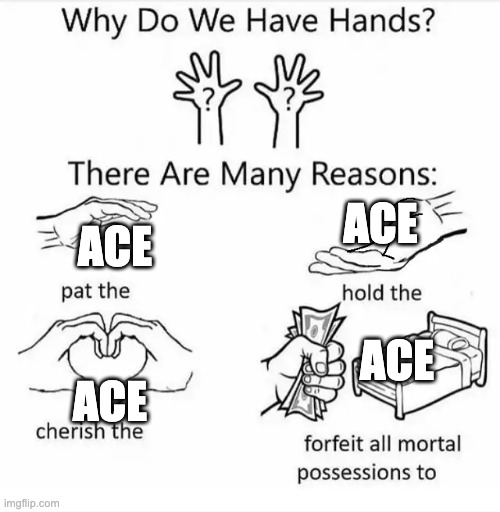 ace ace ace ace | image tagged in why do we have hands | made w/ Imgflip meme maker