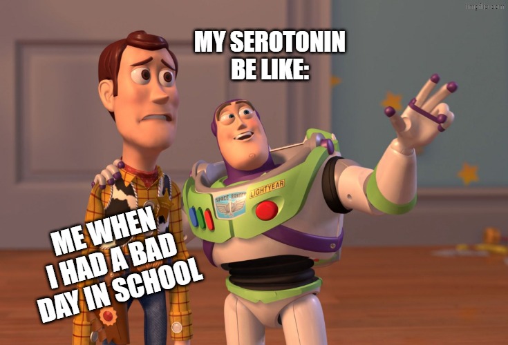 X, X Everywhere Meme | My Serotonin be like:; Me when I had a bad day in school | image tagged in memes,x x everywhere,remix | made w/ Imgflip meme maker