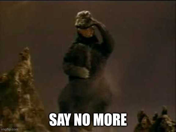 say no more | image tagged in happy godzilla | made w/ Imgflip meme maker