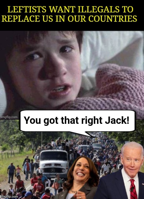 The Great Replacement is real | You got that right Jack! | image tagged in b2coym jpg,biden happy hour harris illegals,sixth sense | made w/ Imgflip meme maker