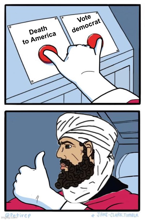 Choices | Vote democrat; Death to America | image tagged in 2 buttons but the spaceman is realy happy,politics lol,memes | made w/ Imgflip meme maker