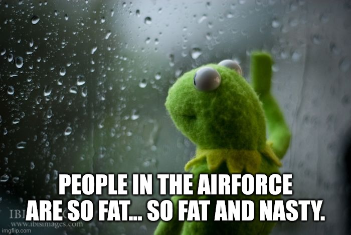 People in the airforce are so fat... so fat and nasty. | image tagged in kermit window | made w/ Imgflip meme maker