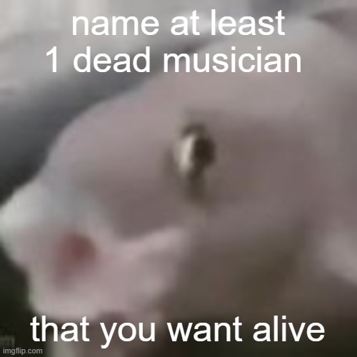 my next post will be the face pic | name at least 1 dead musician; that you want alive | image tagged in fih | made w/ Imgflip meme maker