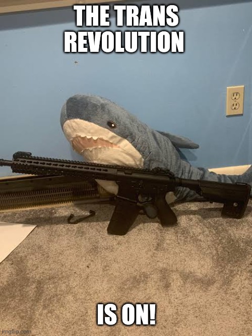 Blahaj with gun | The Trans revolution; Is on! | image tagged in armed blahaj | made w/ Imgflip meme maker
