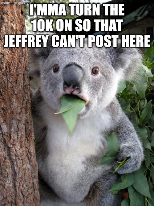 Surprised Koala Meme | I'mma turn the 10k on so that Jeffrey can't post here | image tagged in memes,surprised koala | made w/ Imgflip meme maker