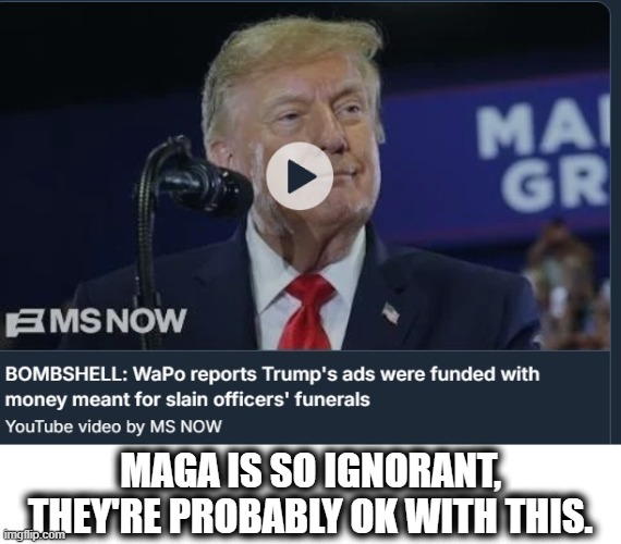 Absolute Lowlife | maga is so ignorant, they're probably ok with this. | image tagged in untitled jpg,trump,lowlife,criminal | made w/ Imgflip meme maker