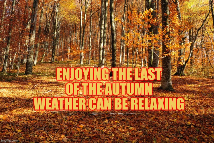 Enjoying the last of the autumn weather can be relaxing | Enjoying the last of the autumn weather can be relaxing | image tagged in autumn outdoor wallpapers - wallpaper cave | made w/ Imgflip meme maker