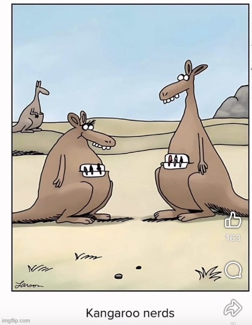 Pocket Protectors are a must in Kangaroo Nerd World | image tagged in vince vance,kangaroo,pouch,pocket,protector,cartoons | made w/ Imgflip meme maker