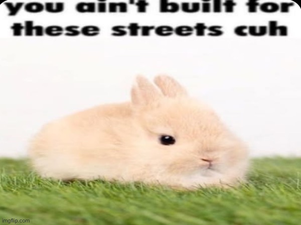 image tagged in memes,vibe | made w/ Imgflip meme maker
