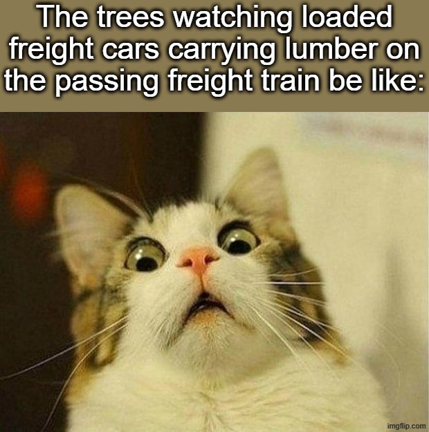 Violist's Title⁴⁹ | The trees watching loaded freight cars carrying lumber on the passing freight train be like: | image tagged in memes,scared cat,tree,fun,funny | made w/ Imgflip meme maker