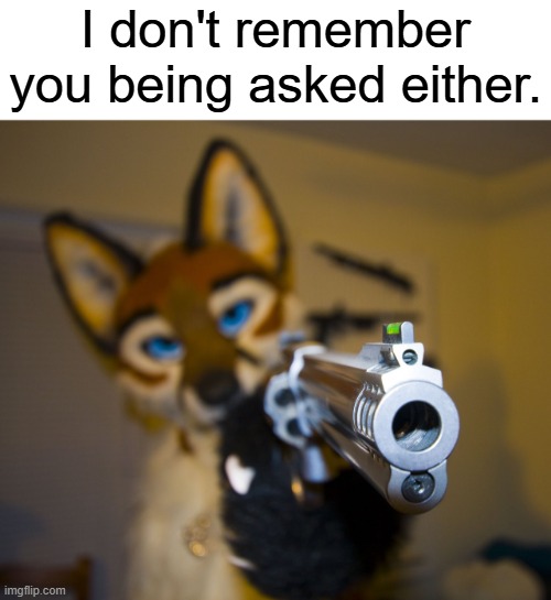Furry with gun | I don't remember you being asked either. | image tagged in furry with gun | made w/ Imgflip meme maker