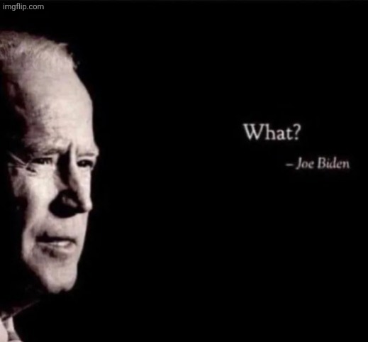 joe biden what | image tagged in joe biden what | made w/ Imgflip meme maker