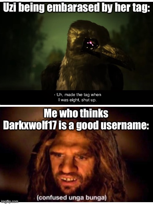 An actually bad username would be something like: "cool-Minecraft-5" or "Plurvs". | Uzi being embarased by her tag:; Me who thinks Darkxwolf17 is a good username: | image tagged in why are you reading the tags,get out,or else,doomguy,will,spawn | made w/ Imgflip meme maker