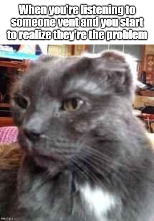That one coworker... | When you're listening to someone vent and you start to realize they're the problem | image tagged in memes,funny,cats,tortoiseshell cat | made w/ Imgflip meme maker
