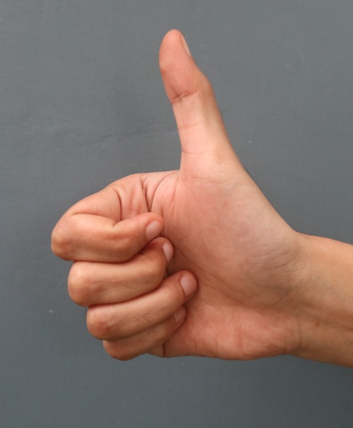 thumbs up | image tagged in thumbs up | made w/ Imgflip meme maker