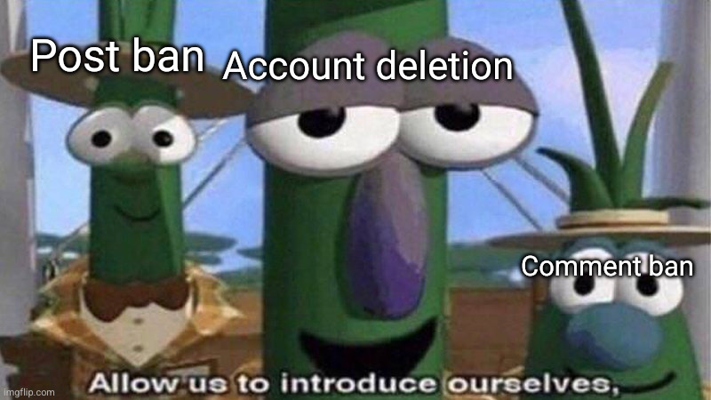 VeggieTales 'Allow us to introduce ourselfs' | Account deletion Comment ban Post ban | image tagged in veggietales 'allow us to introduce ourselfs' | made w/ Imgflip meme maker
