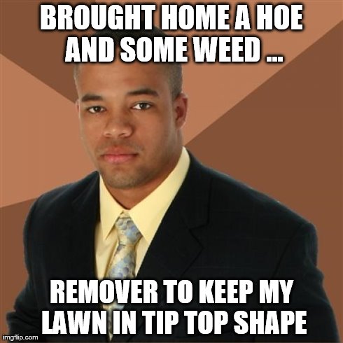 Hoe and Weed | BROUGHT HOME A HOE AND SOME WEED ... REMOVER TO KEEP MY LAWN IN TIP TOP SHAPE | image tagged in memes,successful black man | made w/ Imgflip meme maker