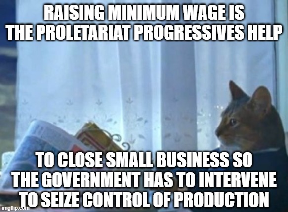 raising minimum wage is the proletariat progressives help to close small business so the government has to intervene to seize control of pro | image tagged in memes,i should buy a boat cat | made w/ Imgflip meme maker