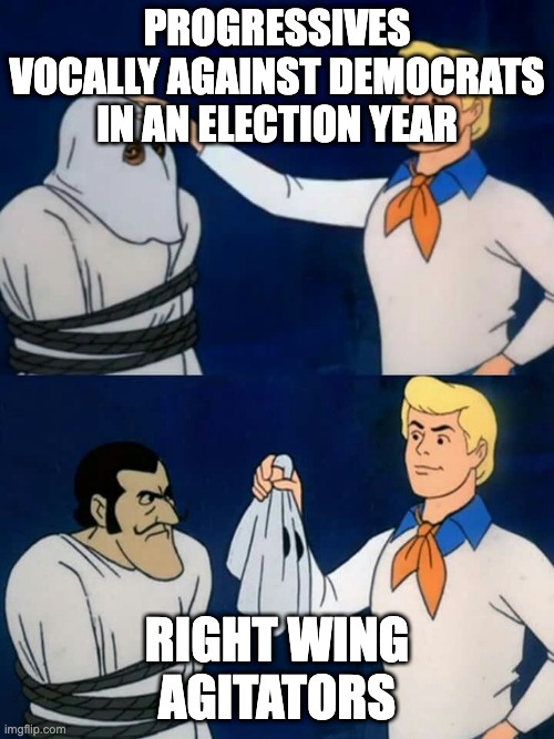 Fred mask | progressives vocally against Democrats in an election year; right wing agitators | image tagged in fred mask | made w/ Imgflip meme maker