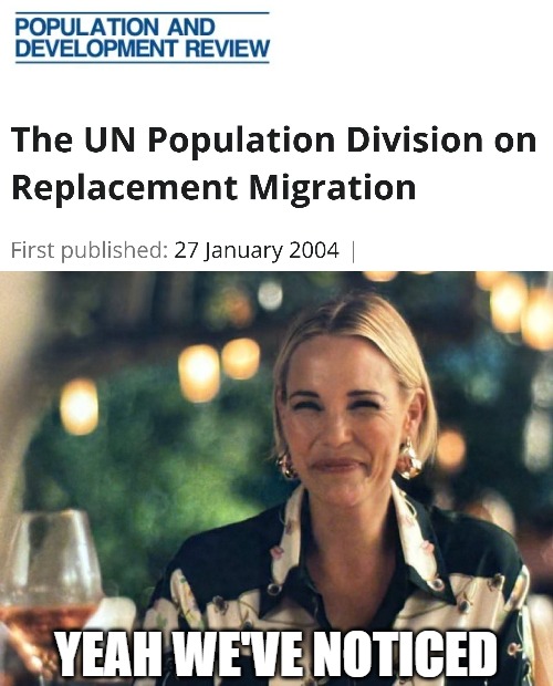 Yeah we've noticed | image tagged in white lotus sarcasm,politics,immigration,globalism | made w/ Imgflip meme maker