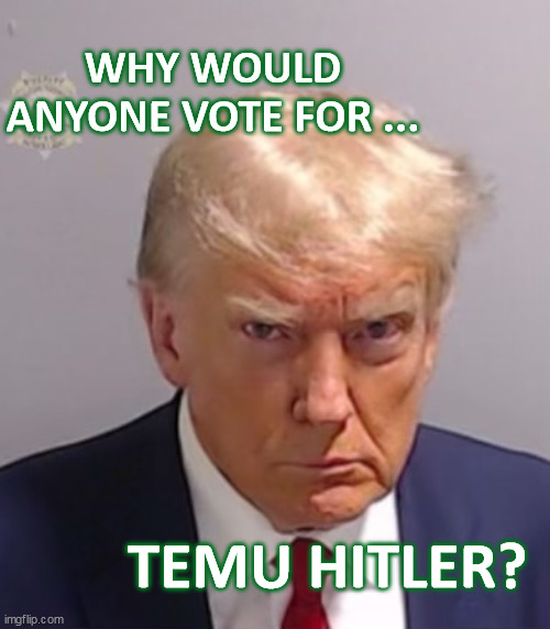 Temu Hitler | Why would anyone vote for ... TEMU HITLER? | image tagged in donald trump mugshot | made w/ Imgflip meme maker