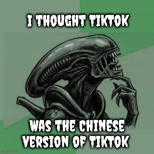 Philosoalien | I thought TikTok Was the Chinese version of TikTok | image tagged in philosoalien | made w/ Imgflip meme maker