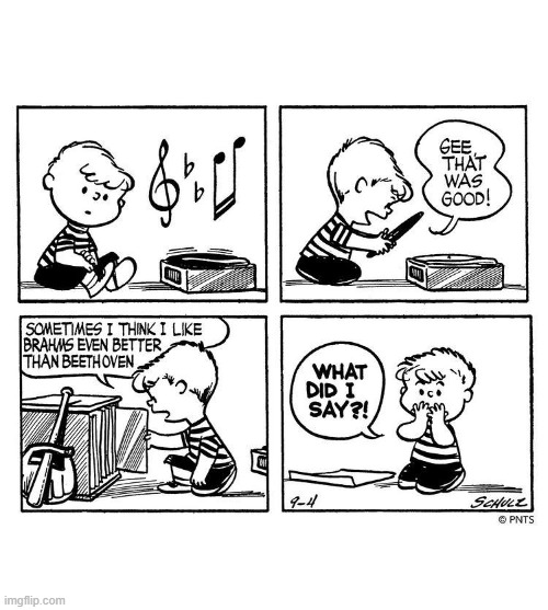Schroeder on brahms(comic strip by schulz) | image tagged in schroeder,peanuts,comic,strip,why are you reading the tags | made w/ Imgflip meme maker