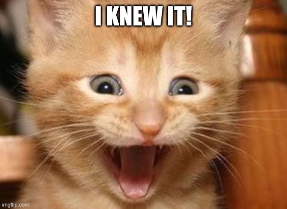 I knew it! | image tagged in excited kitten | made w/ Imgflip meme maker