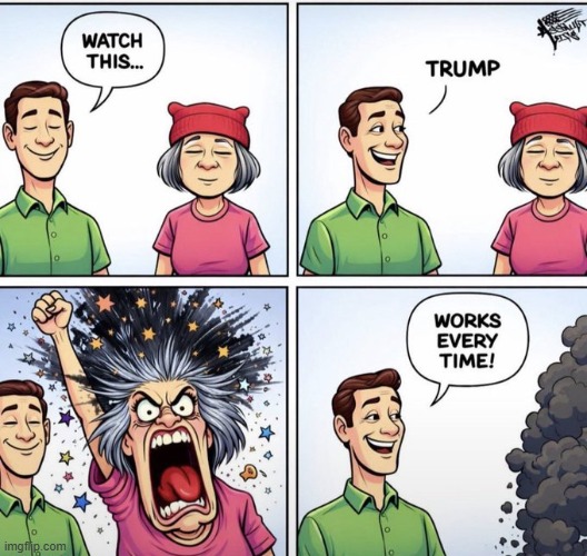TDS in a meme | image tagged in women,liberals,tds,trump derangement syndrome,suffering,syndrome | made w/ Imgflip meme maker