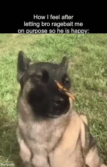 Pretend Grumpy, Secretly a Good Boy