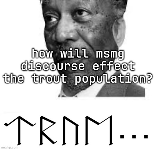 Runic Morgan Freeman | how will msmg discourse effect the trout population? | image tagged in runic morgan freeman | made w/ Imgflip meme maker