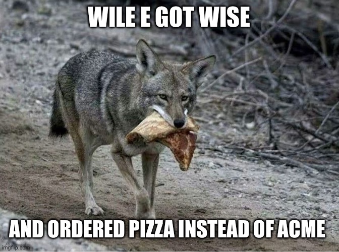 Road Runner Won | Wile E got Wise; And ordered pizza instead of acme | image tagged in img_6186 jpeg,wile e coyote,pizza | made w/ Imgflip meme maker