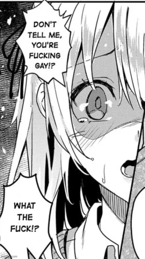 Youre gay | image tagged in youre gay | made w/ Imgflip meme maker