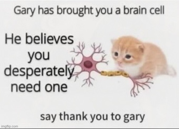 Gary has brought you a braincell | image tagged in gary has brought you a braincell | made w/ Imgflip meme maker
