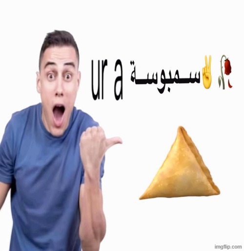 ur a سمبوسة | image tagged in ur a | made w/ Imgflip meme maker