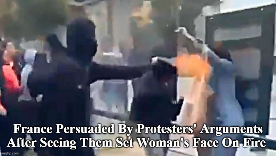 France Persuaded By Protesters' Arguments After Seeing Them Set Woman's Face On Fire | made w/ Imgflip meme maker