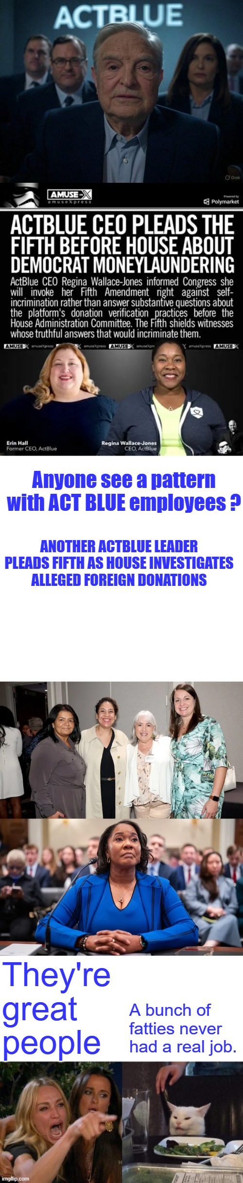 Satan himself | Anyone see a pattern with ACT BLUE employees ? Another ActBlue leader pleads Fifth as House investigates alleged foreign donations; They're great people; A bunch of fatties never had a real job. | image tagged in memes,woman yelling at cat | made w/ Imgflip meme maker