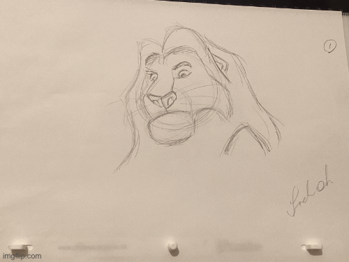 Lion pencil test animation study practice | image tagged in gifs,animation | made w/ Imgflip images-to-gif maker